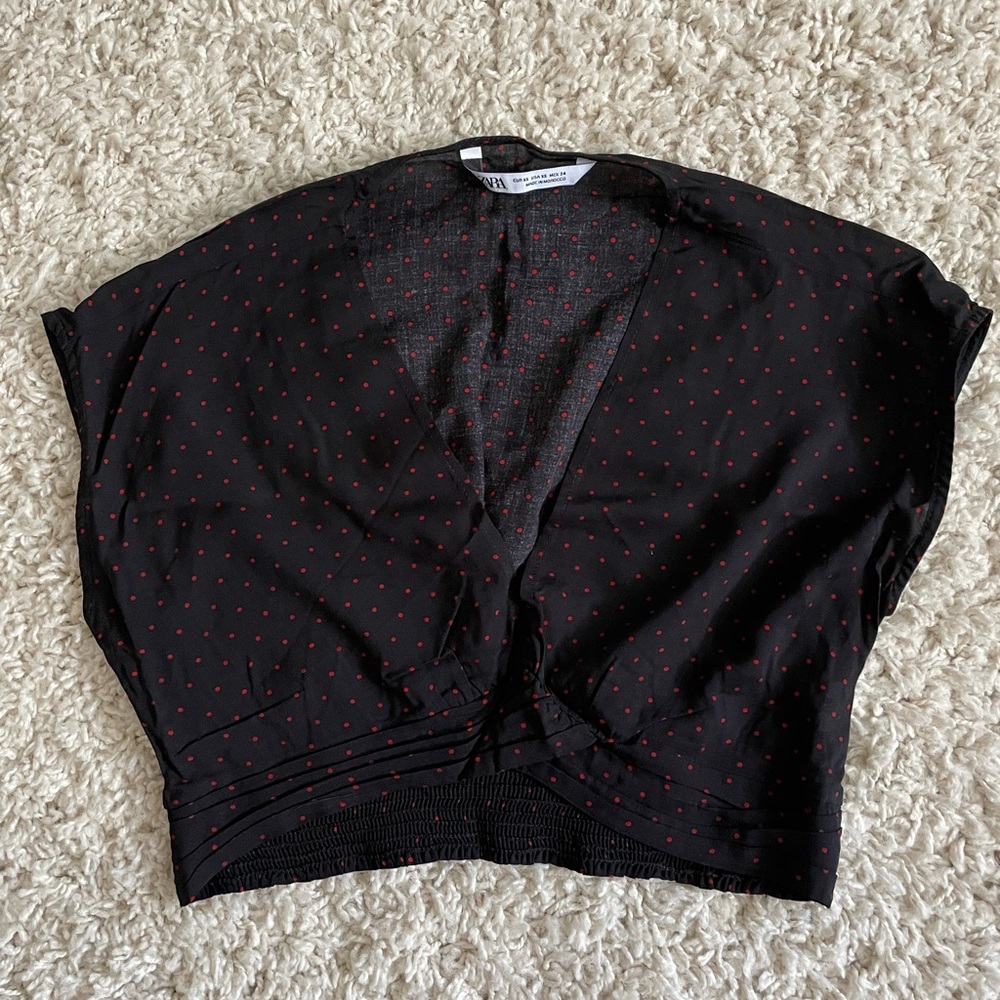 Zara Polka Dot Crop Top